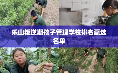 乐山叛逆期孩子管理学校排名甄选名单
