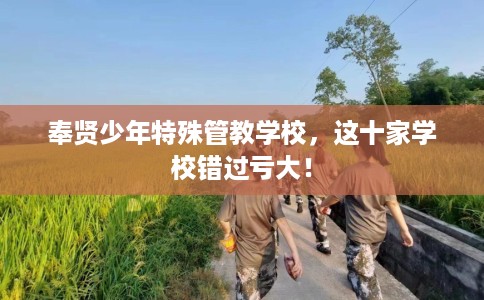 奉贤少年特殊管教学校，这十家学校错过亏大！