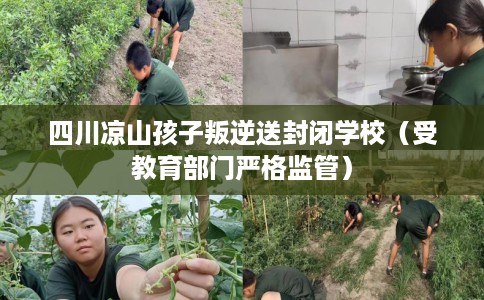 四川凉山孩子叛逆送封闭学校(受教育部门严格监管) 四川凉山孩子叛逆送封闭学校(受教育部门严格监管)