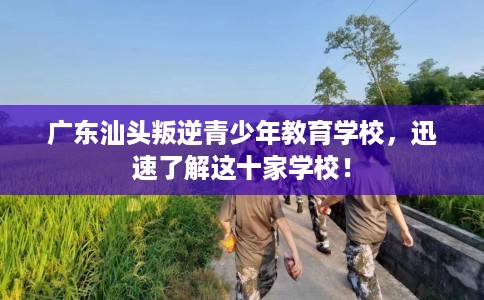 广东汕头叛逆青少年教育学校，迅速了解这十家学校！