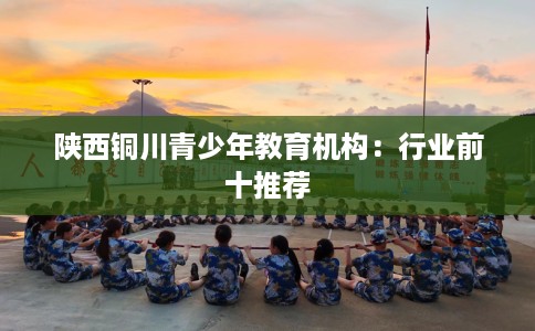 陕西铜川青少年教育机构:行业前十推荐 陕西铜川青少年教育机构:行业前十推荐