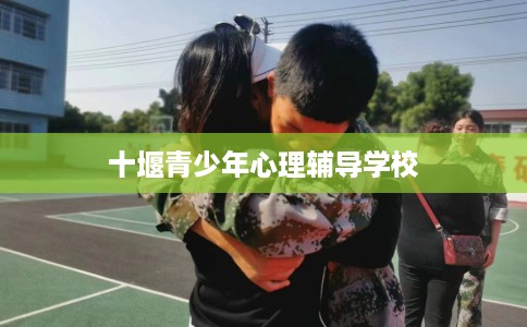 十堰青少年心理辅导学校