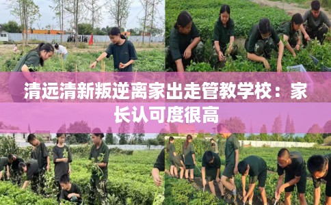 清远清新叛逆离家出走管教学校：家长认可度很高