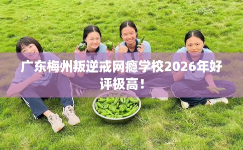 广东梅州叛逆戒网瘾学校2026年好评极高！