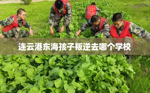 连云港东海孩子叛逆去哪个学校
