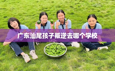 广东汕尾孩子叛逆去哪个学校