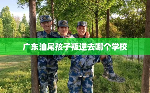 广东汕尾孩子叛逆去哪个学校