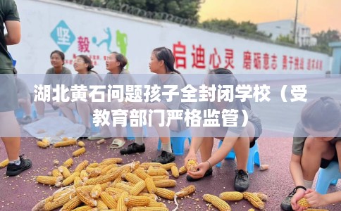 湖北黄石问题孩子全封闭学校（受教育部门严格监管）