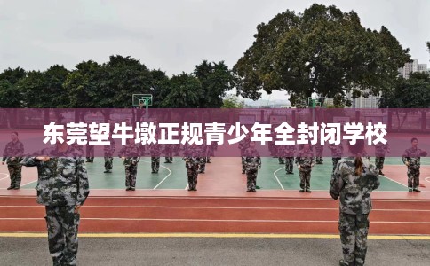 东莞望牛墩正规青少年全封闭学校