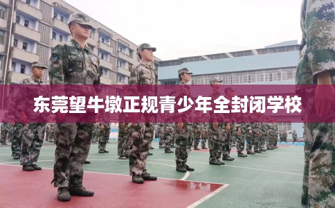 东莞望牛墩正规青少年全封闭学校