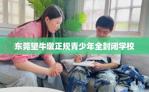 东莞望牛墩正规青少年全封闭学校