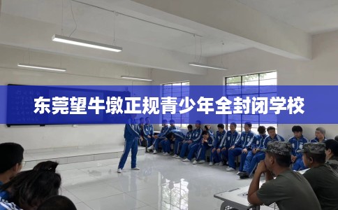 东莞望牛墩正规青少年全封闭学校
