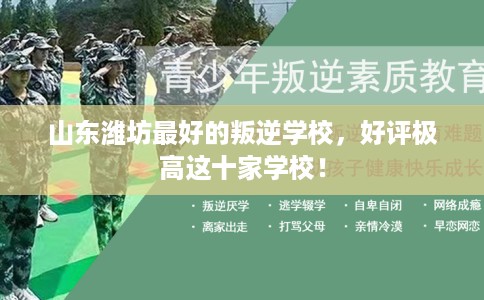 山东潍坊最好的叛逆学校，好评极高这十家学校！
