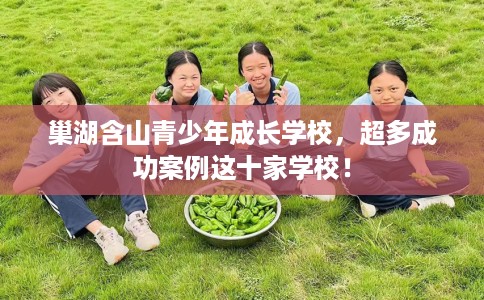 巢湖含山青少年成长学校，超多成功案例这十家学校！