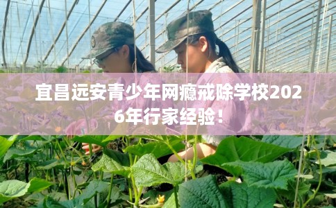 宜昌远安青少年网瘾戒除学校2026年行家经验！