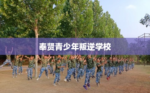 奉贤青少年叛逆学校