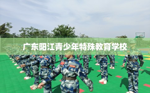 广东阳江青少年特殊教育学校