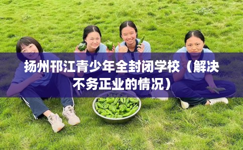 扬州邗江青少年全封闭学校（解决不务正业的情况）