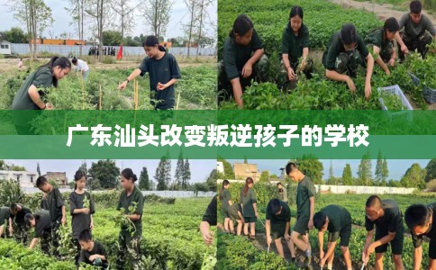 广东汕头改变叛逆孩子的学校
