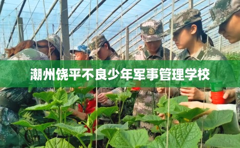 潮州饶平不良少年军事管理学校