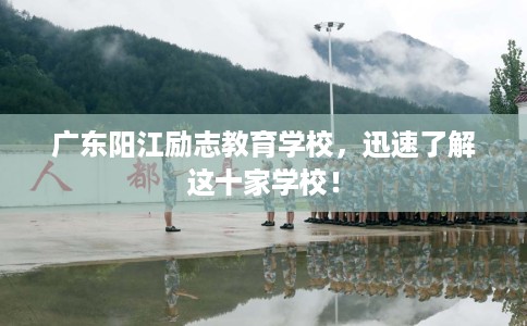 广东阳江励志教育学校，迅速了解这十家学校！