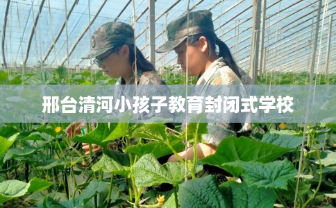 邢台清河小孩子教育封闭式学校