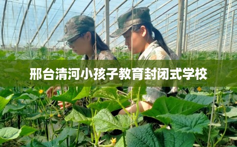 邢台清河小孩子教育封闭式学校