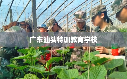 广东汕头特训教育学校