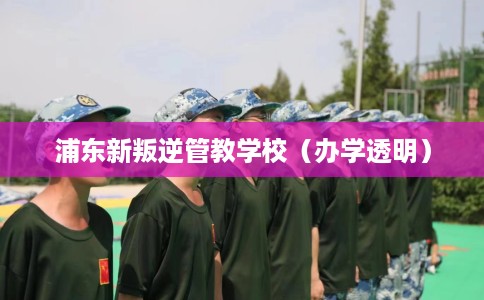 浦东新叛逆管教学校（办学透明）