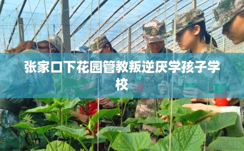 张家口下花园管教叛逆厌学孩子学校