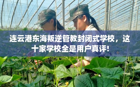 连云港东海叛逆管教封闭式学校，这十家学校全是用户真评!