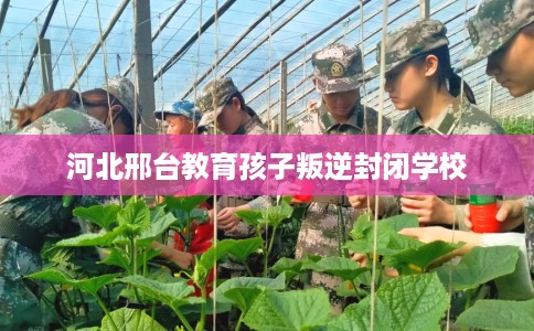 河北邢台教育孩子叛逆封闭学校