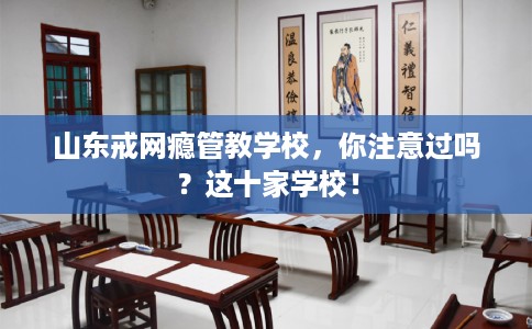山东戒网瘾管教学校，你注意过吗？这十家学校！