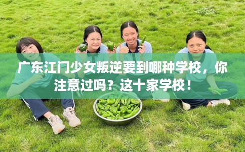 广东江门少女叛逆要到哪种学校，你注意过吗？这十家学校！