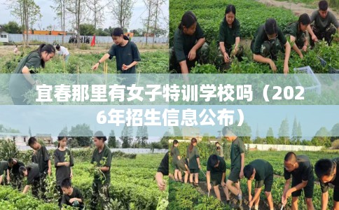 宜春那里有女子特训学校吗（2026年招生信息公布）