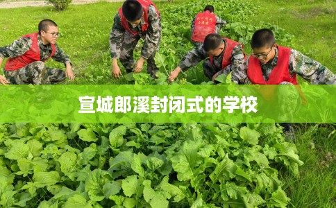 宣城郎溪封闭式的学校