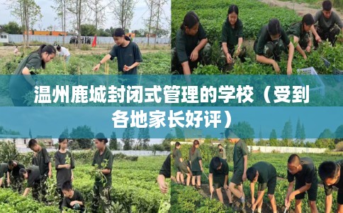 温州鹿城封闭式管理的学校（受到各地家长好评）