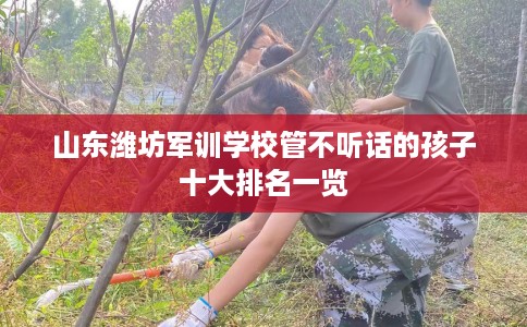 山东潍坊军训学校管不听话的孩子十大排名一览