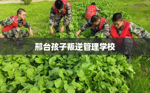 邢台孩子叛逆管理学校