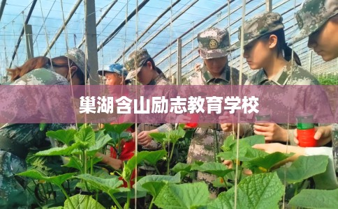 巢湖含山励志教育学校
