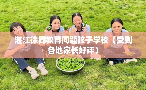 湛江徐闻教育问题孩子学校（受到各地家长好评）