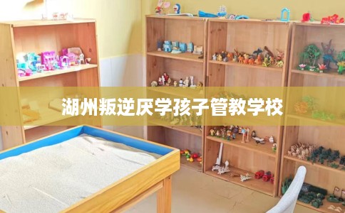 湖州叛逆厌学孩子管教学校