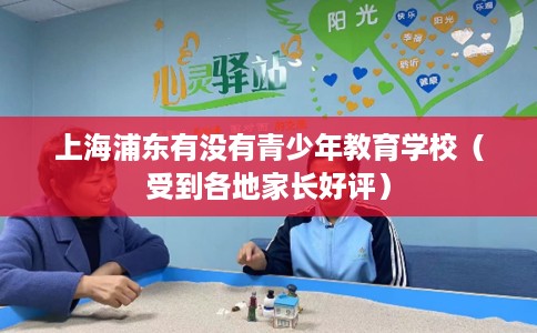 上海浦东有没有青少年教育学校（受到各地家长好评）
