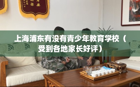 上海浦东有没有青少年教育学校（受到各地家长好评）