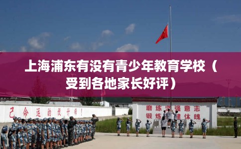 上海浦东有没有青少年教育学校（受到各地家长好评）