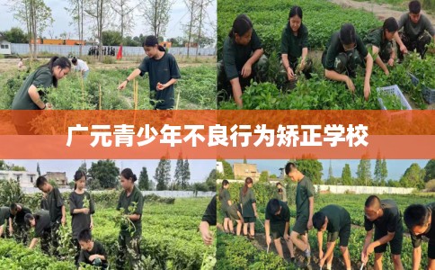 广元青少年不良行为矫正学校
