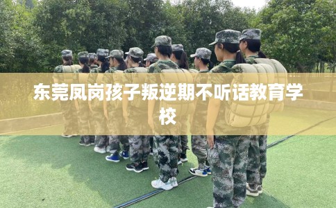 东莞凤岗孩子叛逆期不听话教育学校