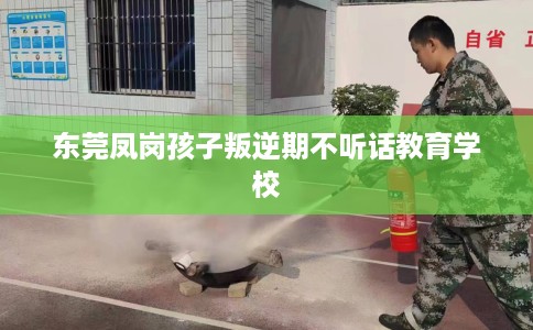 东莞凤岗孩子叛逆期不听话教育学校