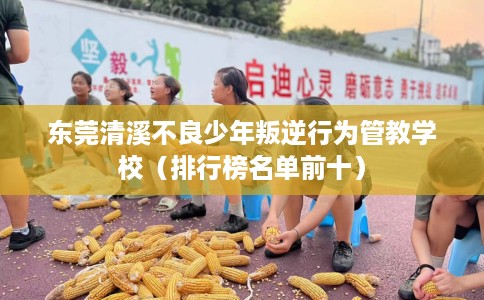 东莞清溪不良少年叛逆行为管教学校（排行榜名单前十）