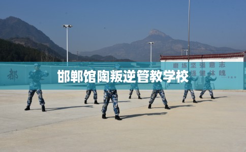 邯郸馆陶叛逆管教学校